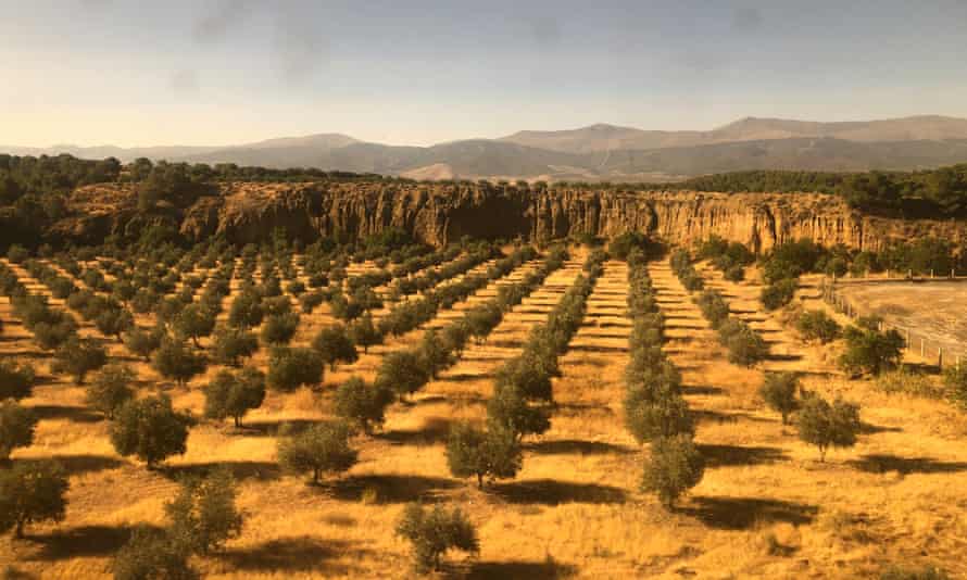 The view from the train between Almería and Granada