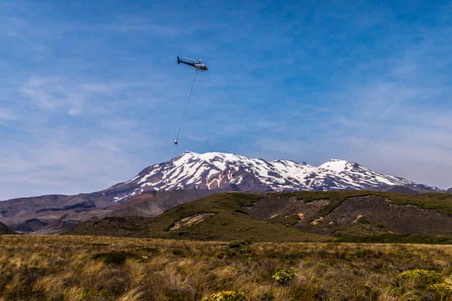 Helicopters in public toilet cleaning service fly past Mount Ruapehu, Tongariro National Park, North Island.