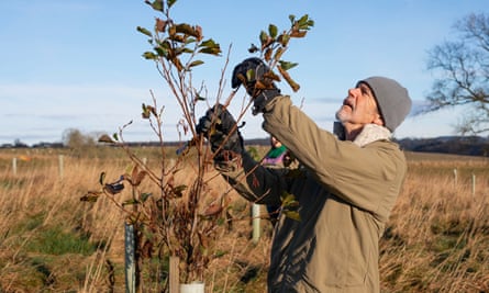 A senior caucasian man wearing warm casual clothing and accessories on a sunny cold winters day. He is standing and checking over a young tree, making sure it is healthy.