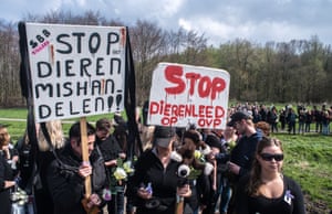 People protesting against policy towards animals in the Oostvaardersplassen.