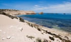 Surfer missing off South Australia's west coast believed to be victim of shark attack
