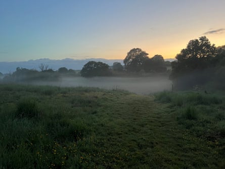 Heal Somerset at dusk with mist rising from low ground