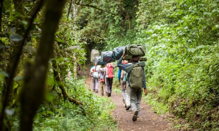 Porters walking in forest in the foothills of Kilimanjaro.
