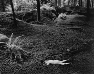 Get The Family Of Man Edward Steichen Pics