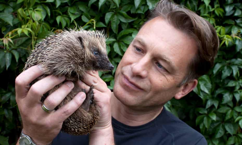 Chris Packham holding a hedgehog