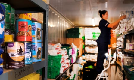 Veterinary nurse Hannah Cardey stocking shelves at the Blue Cross pet food bank