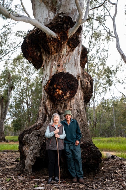 Ken, 85, and Jill Hooper, 82, beneath a giant gum tree