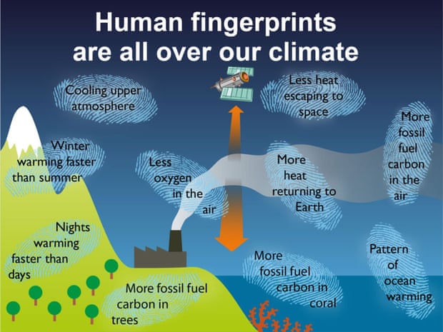 Fact Check Trump S Cabinet Picks On Human Caused Global Warming