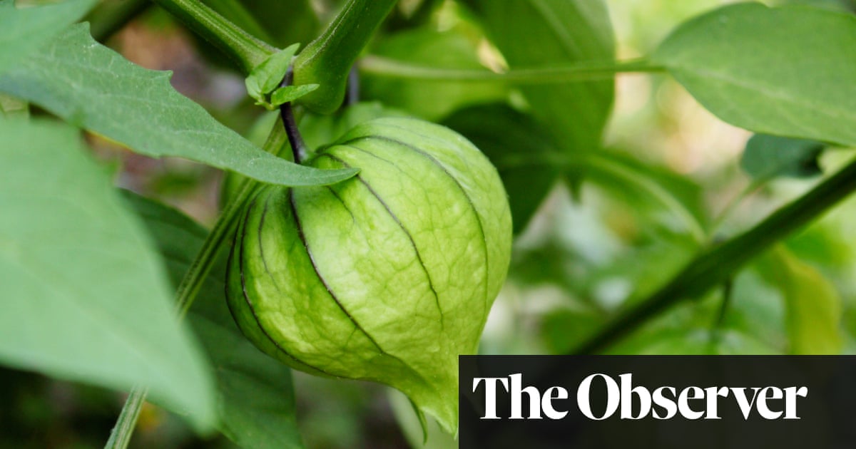 Gardens Plant Sow Thyself James Wong Life And Style The