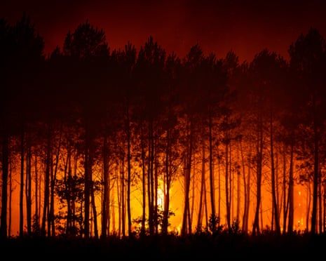A night shot of forest flames