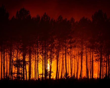 Wildfires successful confederate France.