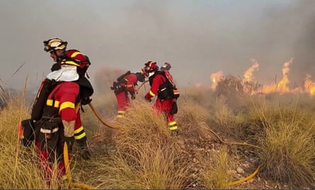Soldiers wearing fire-fighting equipment spray water on burning vegetation.