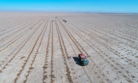Saplings being planted in Inner Mongolia this year to control desertification as temperatures rise.