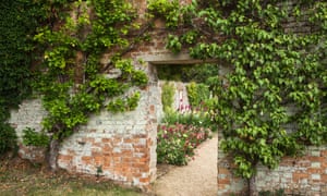 Una guía para principiantes para el cultivo de frutas 1 You don’t have to have a fancy walled garden to fan-train fruit - it will do just as well against a shed or garage wall.