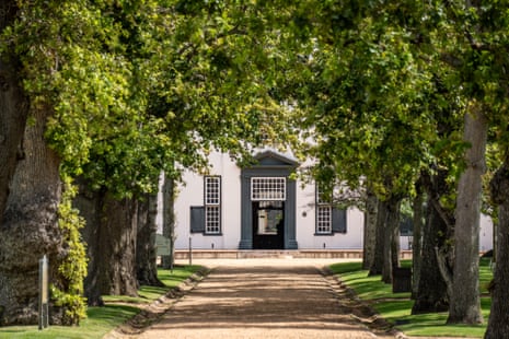 A tree-lined path leads to Groot Constantia’s white manor house with dark shutters