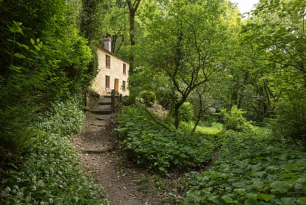A path leading up to a yellow-washed house in a woodland