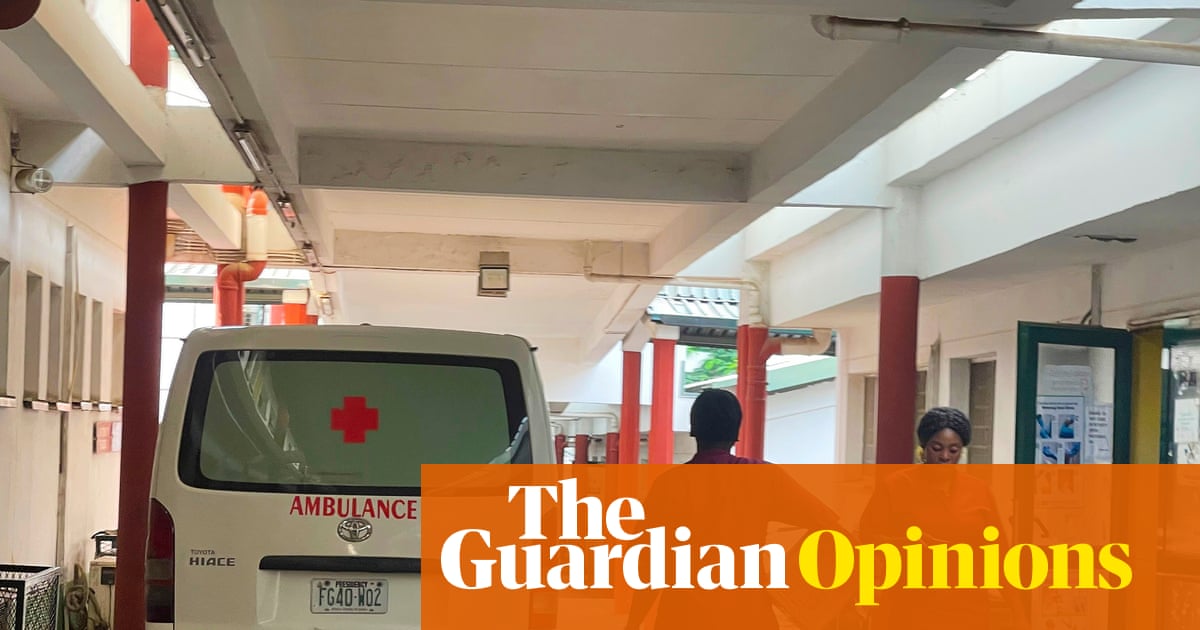 A snakebite death is the latest high-profile tragedy in Nigeria: they all connect to map a system in collapse | Cheta Nwanze