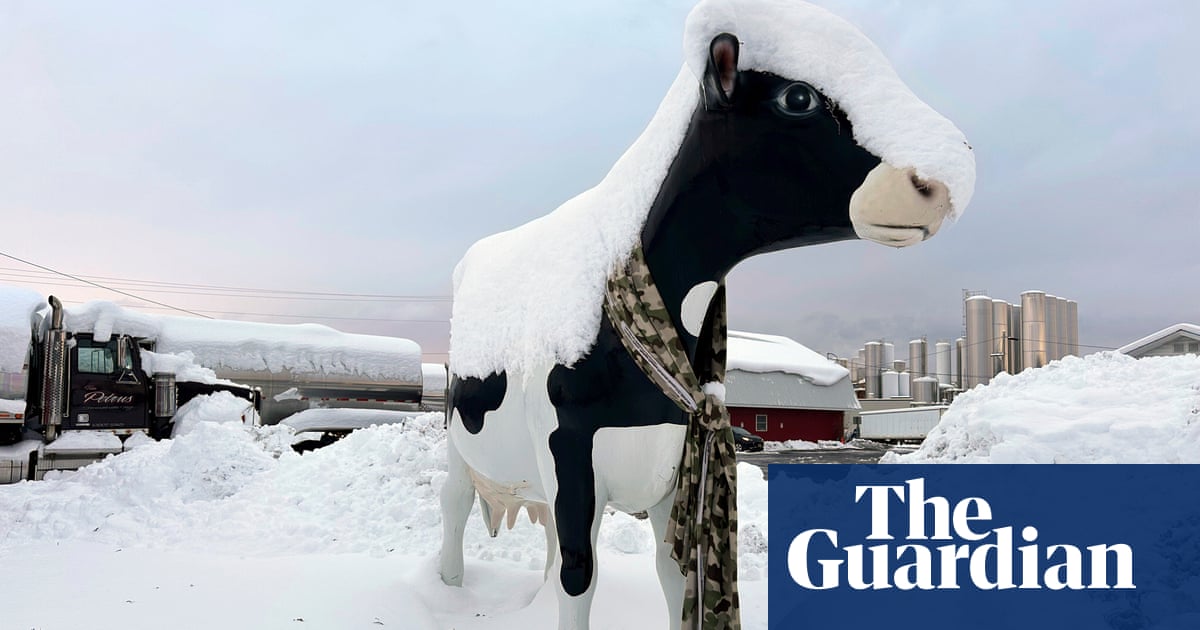 Weather tracker: lake-effect snow blankets parts of north-east US