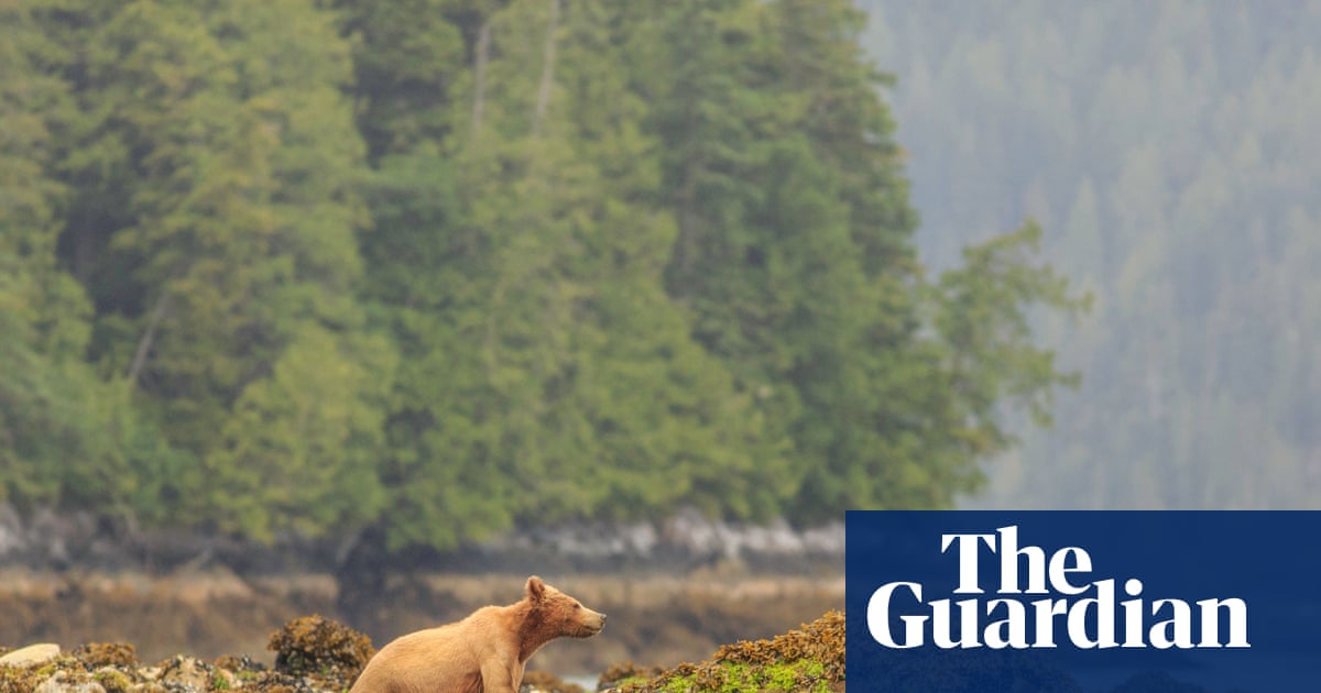 छोट्या छोट्या छोट्या छोट्या छोट्या छोट्या छोट्या छोट्या छोट्या छोट्या छोट्या छोट्या छोट्या छोट्या छोट्या छोट्या छोट्या छोट्या छोट्या छोट्या छोट्या छोट्या छोट्या छोट्या छोट्या छोट्या छोट्या छोट्या छोट्या छोट्या छोट्या छोट्या छोट्या छोट्या छोट्या छोट्या छोट्या छोट्या छोट्या छोट्या छोट्या छोट्या छोट्या छोट्या छोट्या छोट्या छोट्या छोट्या छोट्या छोट्या छोट्या छोट्या छोट्या छोट्या छोट्या छोट्या छोट्या छोट्या छोट्या छोट्या छोट्या छोट्या छोट्या छोट्या छोट्या छोट्या छोट्या छोट्या छोट्या छोट्या छोट्या छोट्या छोट्या छोट्या छोट्या छोट्या छोट्या छोट्या छोट्या छोट्या छोट्या छोट्या छोट्या छोट्या छोट्या छोट्या छोट्या छोट्या छोट्या छोट्या छोट्या कॅनडा छोट्या छोट्या छोट्या छोट्या छोट्या छोट्या छोट्या छोट्या छोट्या छोट्या छोट्या छोट्या छोट्या छोट्या छोट्या छोट्या छोट्या छोट्या छोट्या छोट्या छोट्या छोट्या छोट्या छोट्या छोट्या छोट्या छोट्या छोट्या छोट्या छोट्या छोट्या छोट्या छोट्या छोट्या छोट्या छोट्या छोट्या छोट्या छोट्या छोट्या छोट्या छोट्या छोट्या छोट्या छोट्या छोट्या छोट्या छोट्या छोट्या छोट्या छोट्या छोट्या छोट्या छोट्या छोट्या छोट्या छोट्या छोट्या छोट्या छोट्या छोट्या छोट्या छोट्या छोट्या छोट्या छोट्या छोट्या छोट्या छोट्या छोट्या छोट्या छोट्या छोट्या छोट्या छोट्या छोट्या छोट्या छोट्या छोट्या छोट्या छोट्या छोट्या छोट्या छोट्या छोट्या छोट्या छोट्या छोट्या छोट्या छोट्या छोट्या कॅनडा