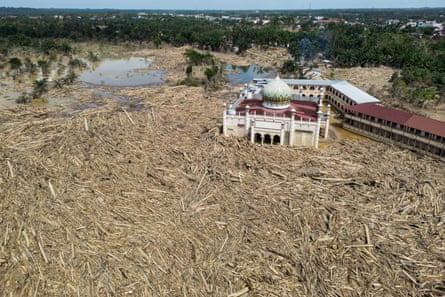 Uprooted trees and water surround mosque.