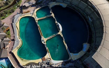 An aerial view of a marine park with five pools in which algae can be seen