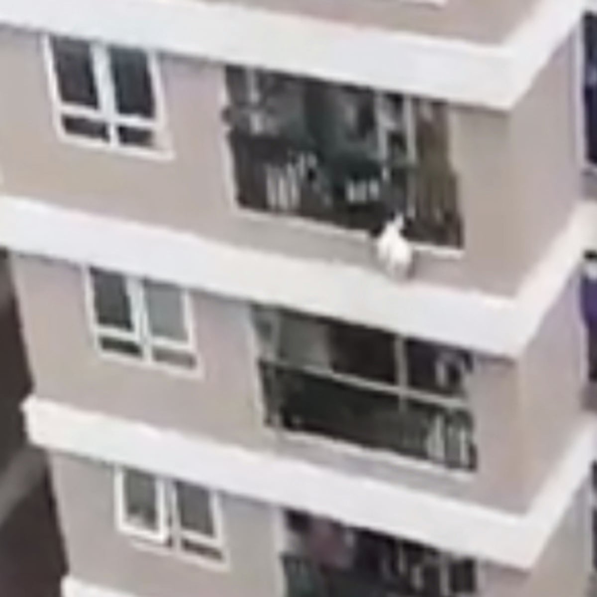 Superhero' delivery driver catches toddler falling from 12th-floor balcony in Vietnam | Vietnam | The Guardian