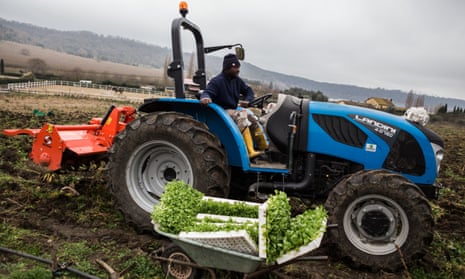 Two members of the Barikama, a farming cooperative run by African migrants in Italy, plough a field as part of a drive to feed families in lockdown.