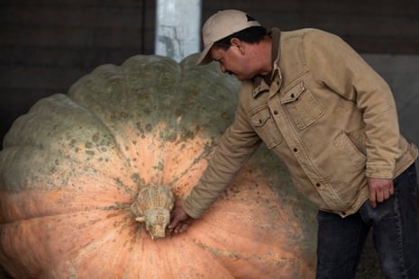 urena with an enormous pumpkin