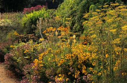 A colour-themed golden border with heleniums, fennel, oregano and veronicastrums, at Parham in Sussex