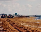 33m tons of toxic seaweed clogs Caribbean beaches – video