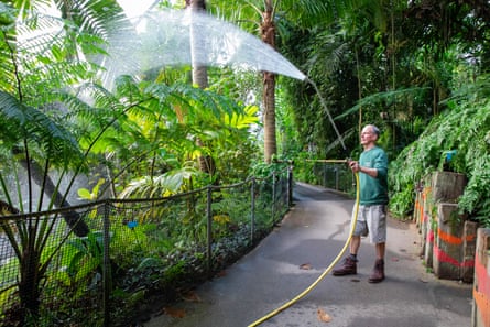 John Porter makes it rain in the rainforest biome.