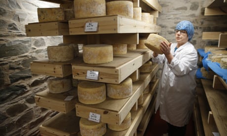 Cheese being turned