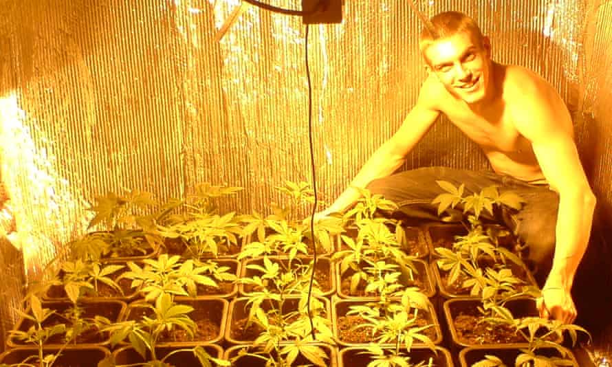Maxwell and his cannabis factory