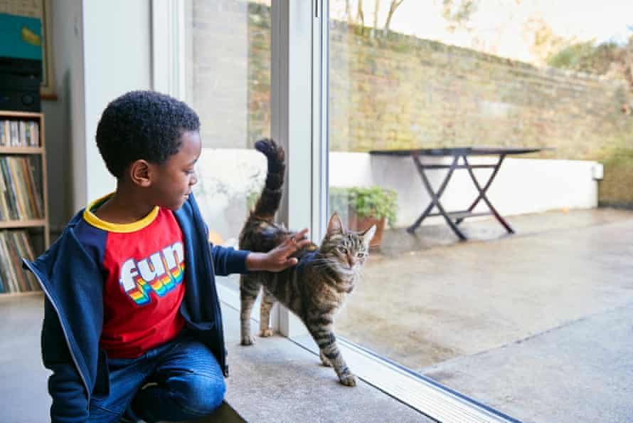 A young boy stroking a cat