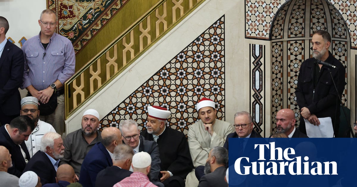 Anthony Albanese and Tony Burke heckled by protesters at Lakemba mosque