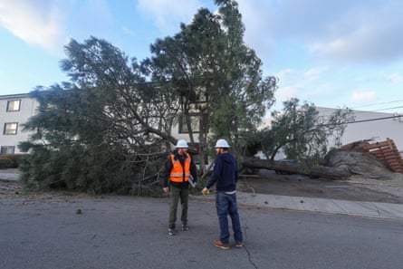 Emergency workers assess the damage after a large tree was blown into an apartment building during a winter storm in San Diego, California, on Wednesday.