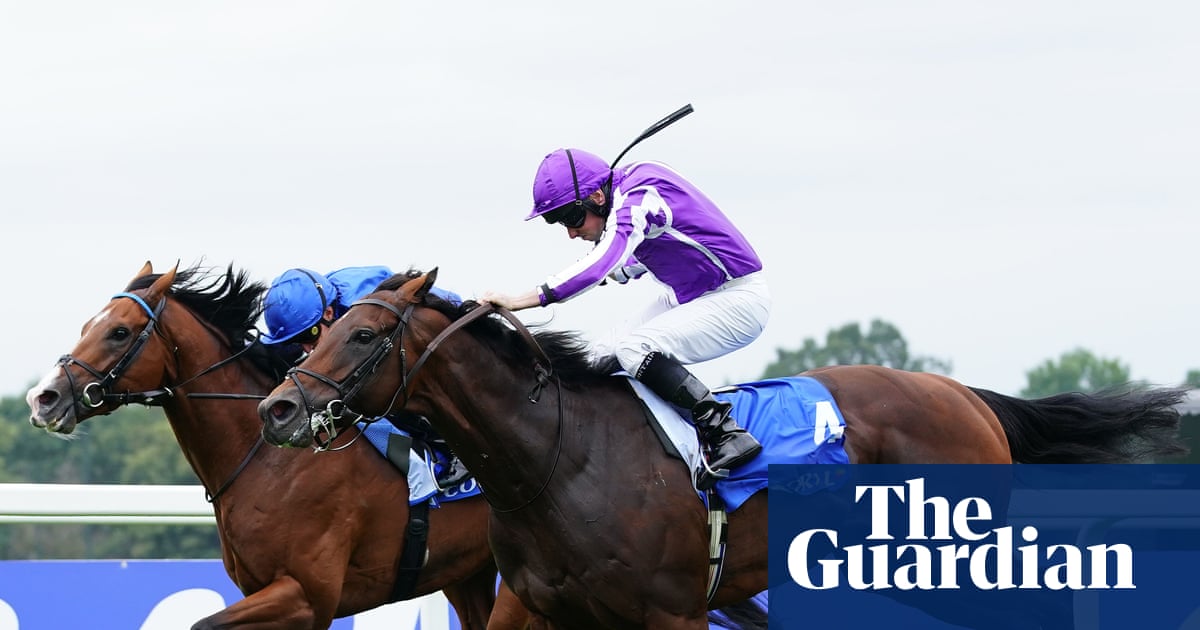 World-class Champion Stakes field provides fitting Ascot finale to Flat season