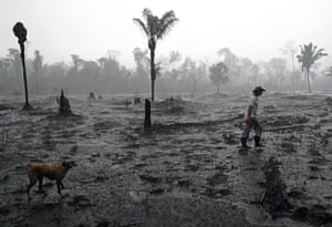 Revealed Uk Banks And Investors 2bn Backing Of Meat Firms Linked To Amazon Deforestation Environment The Guardian