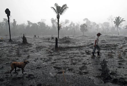 A burnt area of the Amazon rainforest in Rondônia state, Brazil. Vast tracts of rainforest on three continents went up in smoke in 2018, with an area roughly the size of Switzerland cut down or burned to make way for cattle and commercial crops, reports based on satellite data show.