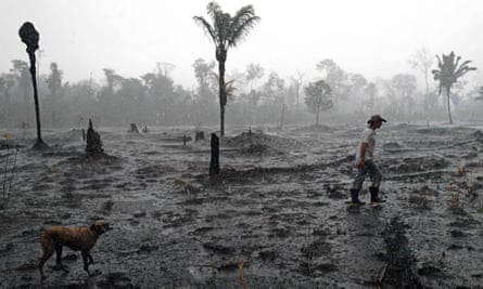 Farmer Helio Lombardo Do Santos walks through the remains of a section of Amazon rainforest near Porto Velho, Rondonia state, Brazil.