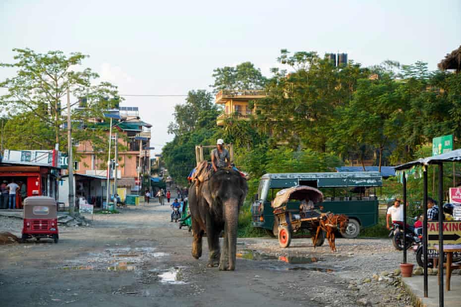 Chitwan national park, Nepal, November 2020