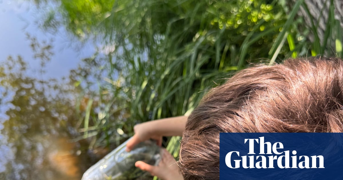 Young country diary: Beetles, newts and ‘scorpions’, all in my simple river trap | Hal