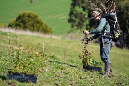 Miles plants a tree while carrying a backpack full of plants