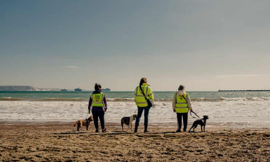 Amanda Hall with her dog Izzy, Anita Wingad with Honey (middle) and Sarah Wood with Annie on Weymouth beach.