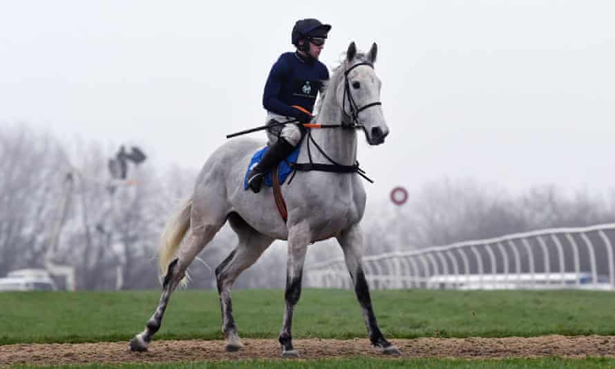 Could Snow Leopardess become the first mother to win the National?