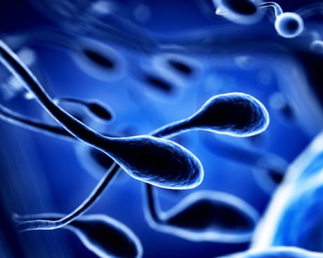 Toxins plus climate harms likely cause of reduced fertility, study finds