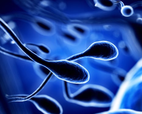 Sperm and egg