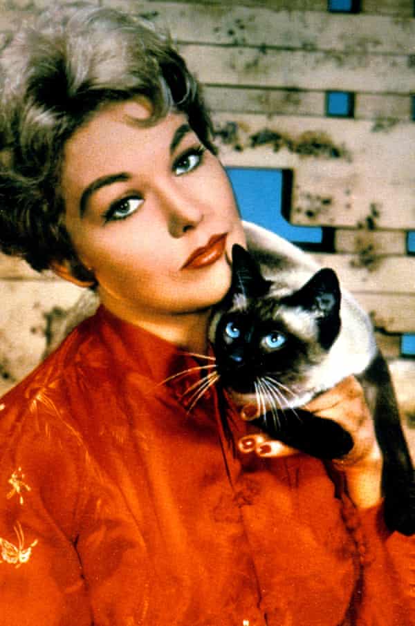 Purr Evil Cats With Hidden Agendas Ranked Film The Guardian