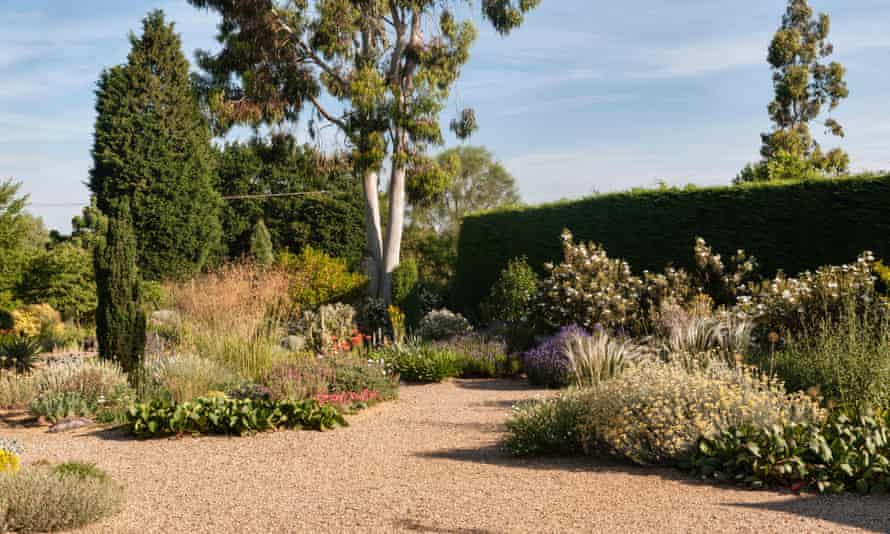 Gravel paths, hedge, cypress and other trees and Mediterranean plants