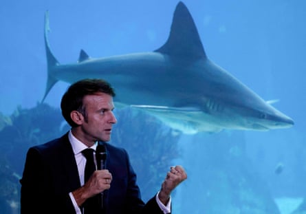 Emmanuel Macron speaking with a microphone as a shark glides past in the aquarium behind him